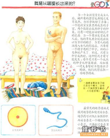 书单推荐,3~14岁的性教育书单