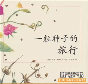 童书推荐 | 过个书香寒假,好书书单在此!