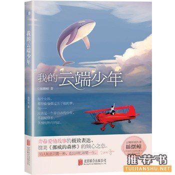 摇摆鲸作品我的云端少年青春爱情故事的极致表达