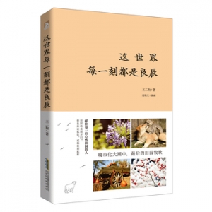 王二狗作品这世界每一刻都是良辰出版上市