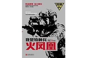 特种兵故事不只霹雳火,军队小说书单推荐