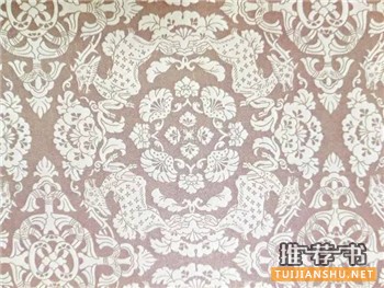 中西方古代服饰的书(含效果图)