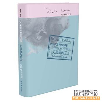 多丽丝莱辛作品天黑前的夏天出版上市