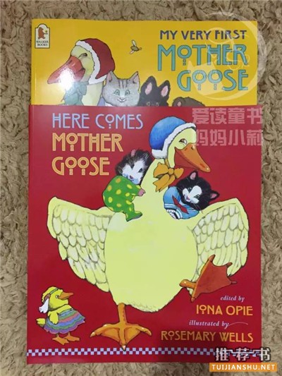 书单|这些音乐启蒙绘本的作者,我们欠他们一句谢谢