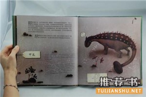 这一次,看点儿不一样的书单