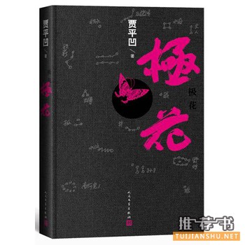 贾平凹作品《极花》