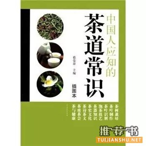 关于茶文化的好书推荐,见识中华茶文化