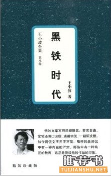王小波书单,阅读是最好的纪念