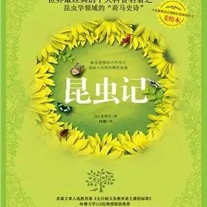 10部成人读了也要感动落泪的童书