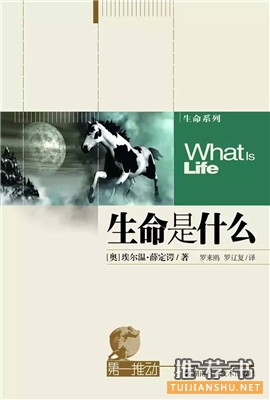 有趣易懂的科普书籍,都是各自领域的巅峰之作