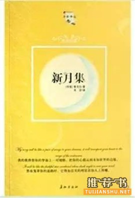 教师爱哪些书?教师这些书,值得老师爱一辈子