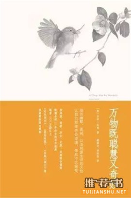 浑身负能量的时候,就看这7本书