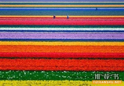 诗意何必远方,这10本书带你去看看这个世界