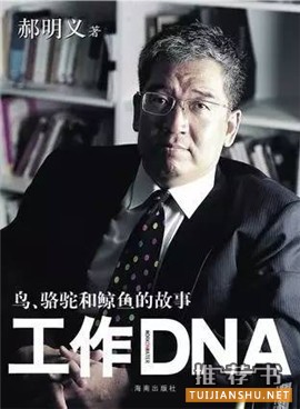 给《欢乐颂》里那5个努力的自己