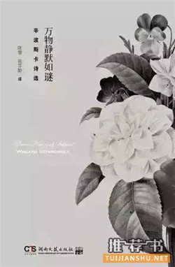 10本唯美又经典的诗集,让你诗意地栖息在人世间