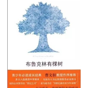 当你脆弱的时候,这7本书给你温暖的力量