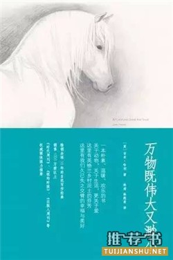 温暖的小说_当你脆弱的时候,这7本书给你温暖的力量
