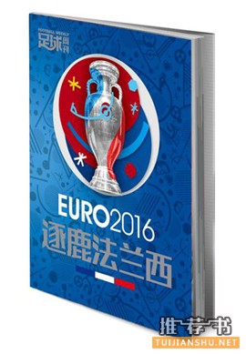 2016年欧洲杯,这几本书可以帮你更深地理解