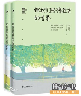 毕业季追忆青春书单_那年青春我们正好
