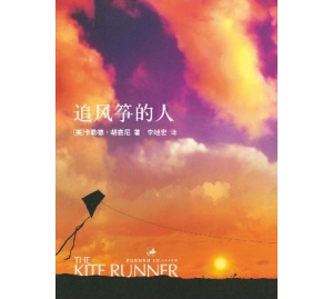 追风筝的人简介推荐理由