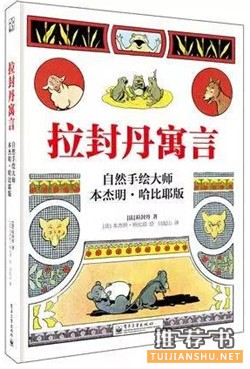 适合夏天读的十本好书推荐