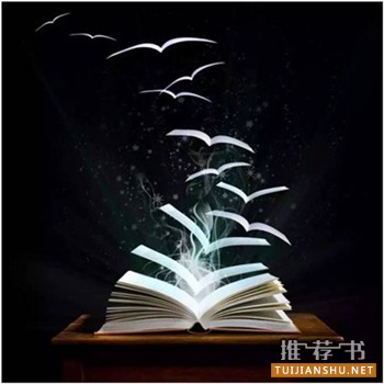 经济学的通俗易懂的枕边书