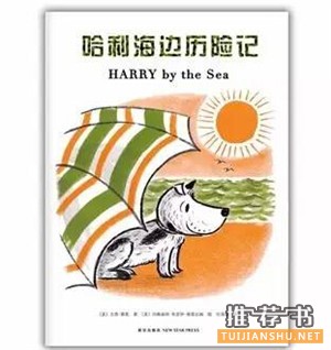 关于夏天的绘本,暑假来了,这些绘本让你清凉一“夏”