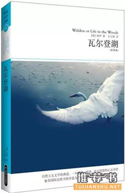 10本经典名著,10种独特的开头