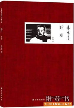 10本经典名著,10种独特的开头