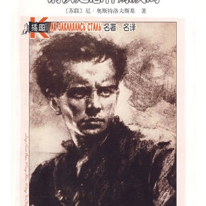 钢铁是怎样炼成的