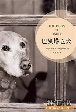戳破爱情谎言的7本小说,为你剖析爱情的阴暗面