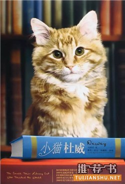 7本关于宠物的经典小说,打动你,融化你,治愈你