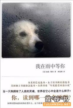7本关于宠物的经典小说,打动你,融化你,治愈你