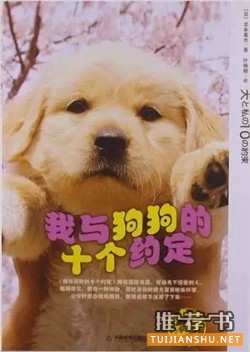 7本关于宠物的经典小说,打动你,融化你,治愈你
