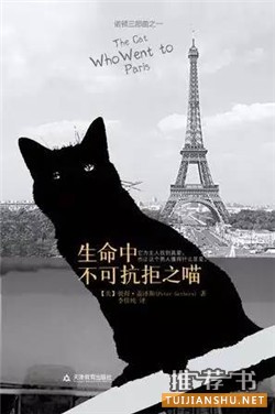 7本关于宠物的经典小说,打动你,融化你,治愈你