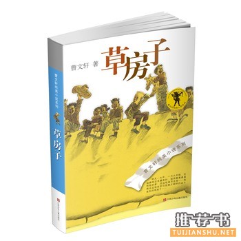 曹文轩《草房子》简介主要内容