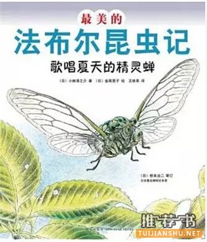 书单 | 10本夏日消暑图书,带孩子探索夏天的秘密
