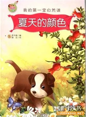 书单 | 10本夏日消暑图书,带孩子探索夏天的秘密