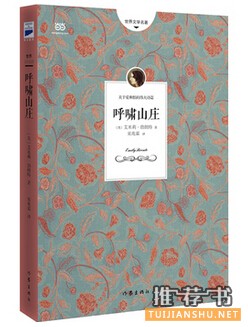 推荐理由_呼啸山庄读后感