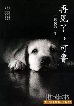 豆瓣高评分的6部温情治愈系文学作品