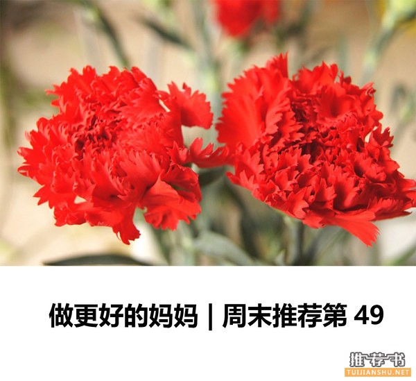 妈妈书单:好妈妈是怎样炼成的