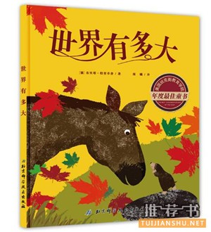 5本自信成长的绘本图书推荐