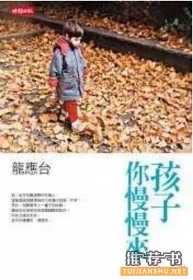 感受龙应台温婉的书籍推荐