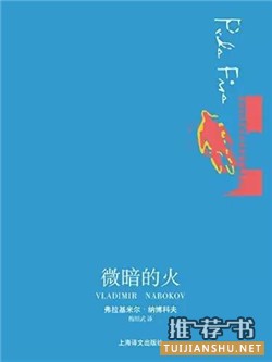 开头以为是喜剧,看到结尾却陷入沉思的7本小说