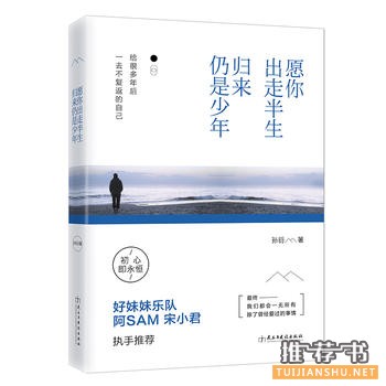 孙衍作品《愿你出走半生,归来仍是少年》