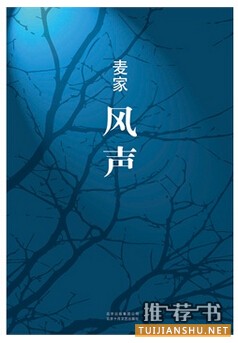 十大历史悬疑小说书单推荐