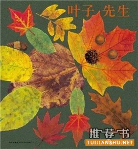 秋天来了,这10本书帮助孩子感知季节的变化