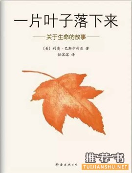 秋天来了,这10本书帮助孩子感知季节的变化