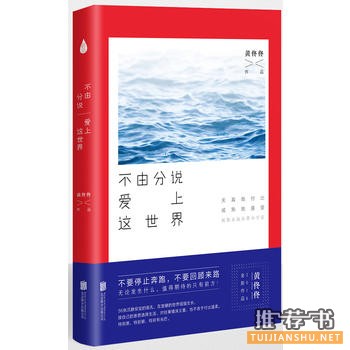 黄佟佟作品《不由分说爱上这世界》