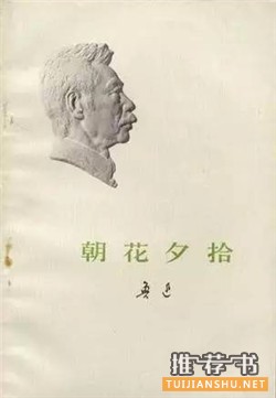 鲁迅的作品推荐:想读鲁迅?这4本书必读
